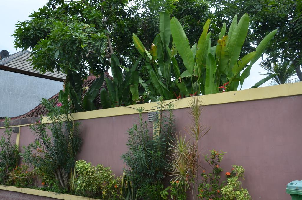 Villa Eva Canggu Esterno foto